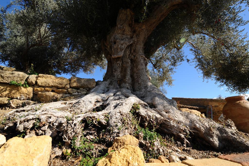 Villa La Lumia B&B Suites&Apartments Agrigento Esterno foto