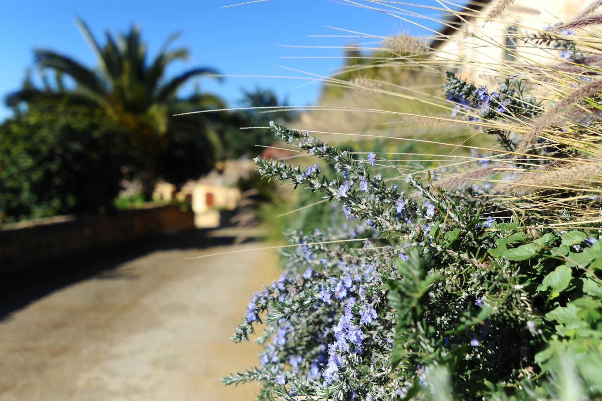 Villa La Lumia B&B Suites&Apartments Agrigento Esterno foto